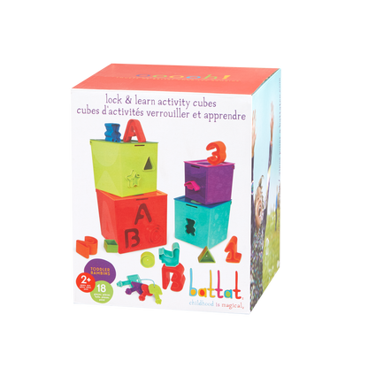 Lock & Learn Activity Cubes