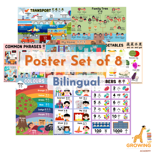 Educational Posters (Set of 8) – Bilingual (28X40cm)