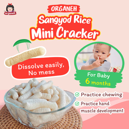 Sangyod Rice Mini Cracker Baby & Kids Snacks - Carrot & Apple