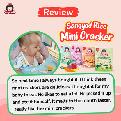 Sangyod Rice Mini Cracker Baby & Kids Snacks - 3 Flavour Bundle