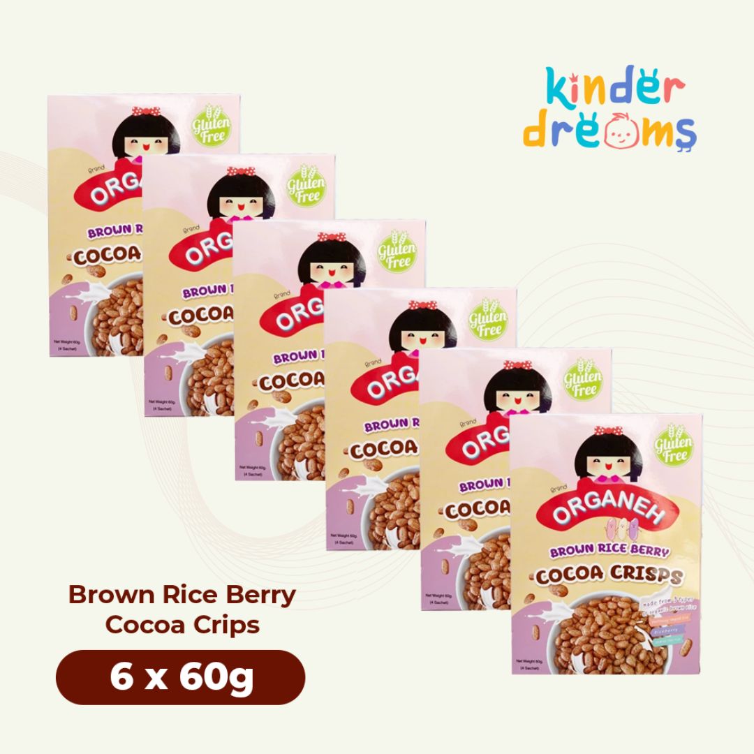 Brown Rice Berry Cocoa Crisps Healthy Baby & Kids Snacks